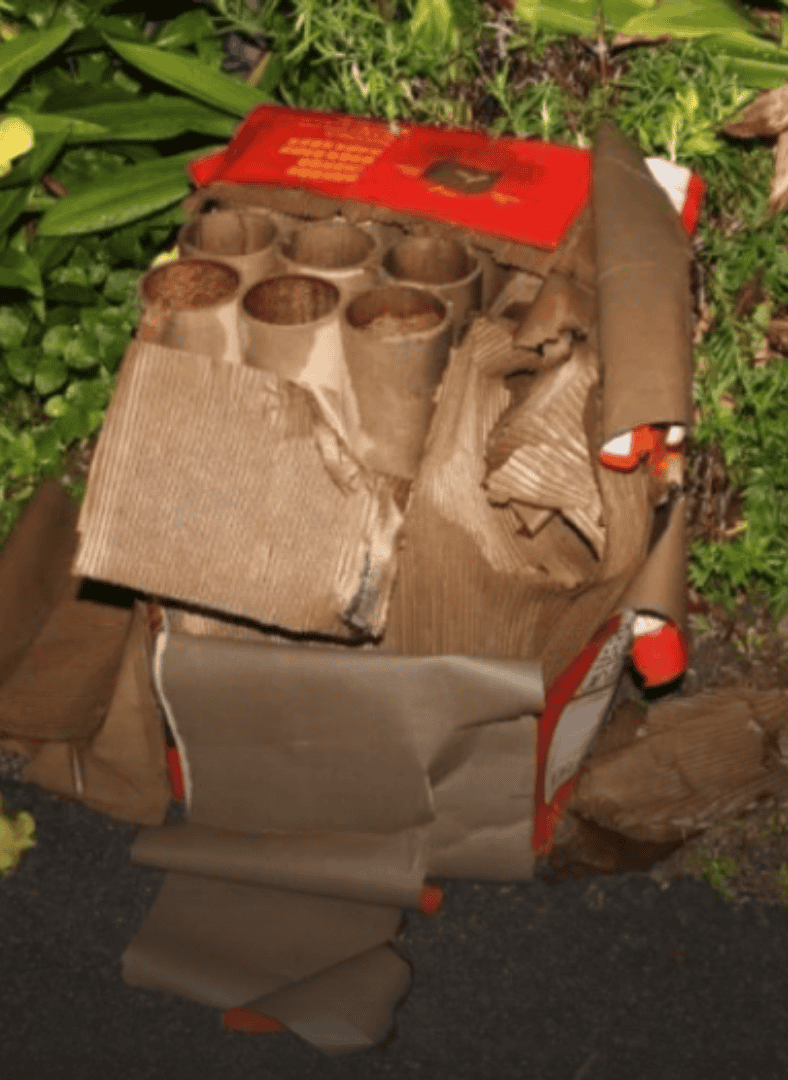 johor segamat fireworks explosion amputation cny february 2026