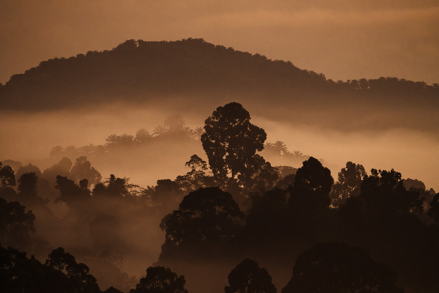 WWF cautions on Sabah mining 