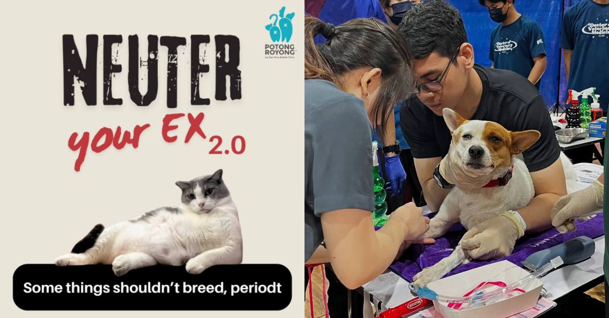 ‘Neuter Your Ex’ — Get Closure With SPCA’s Cheeky Campaign While Saving Strays