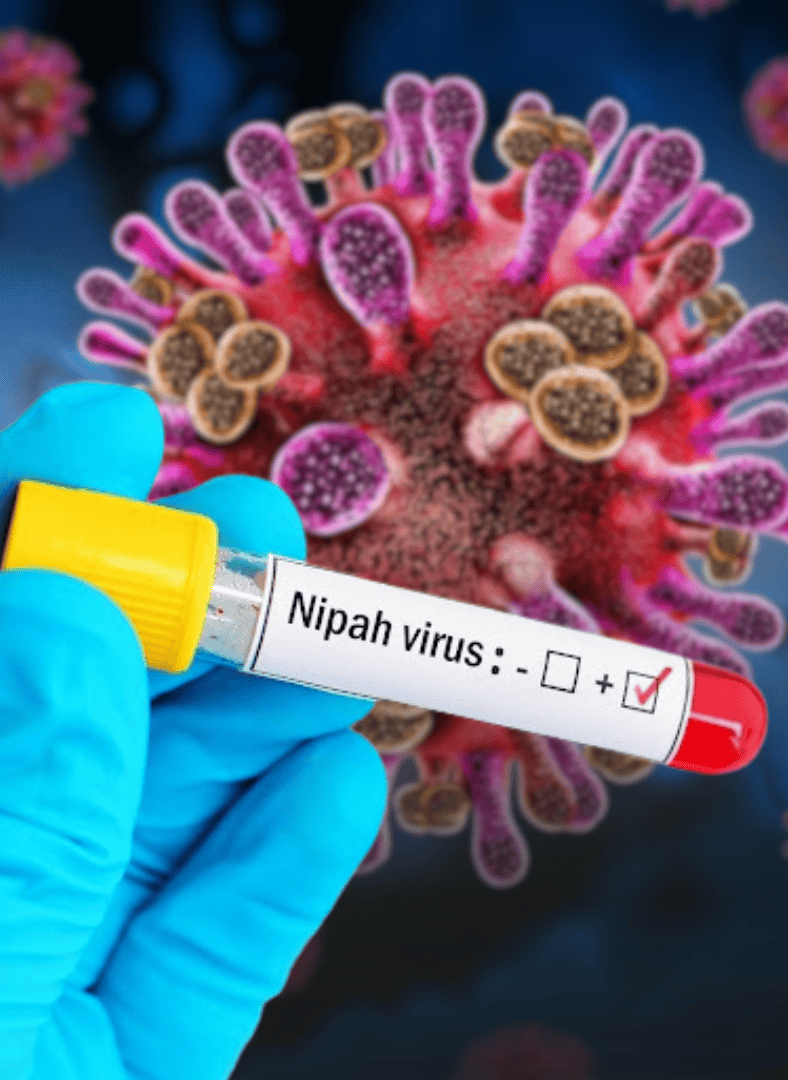 nipah virus outbreak from india