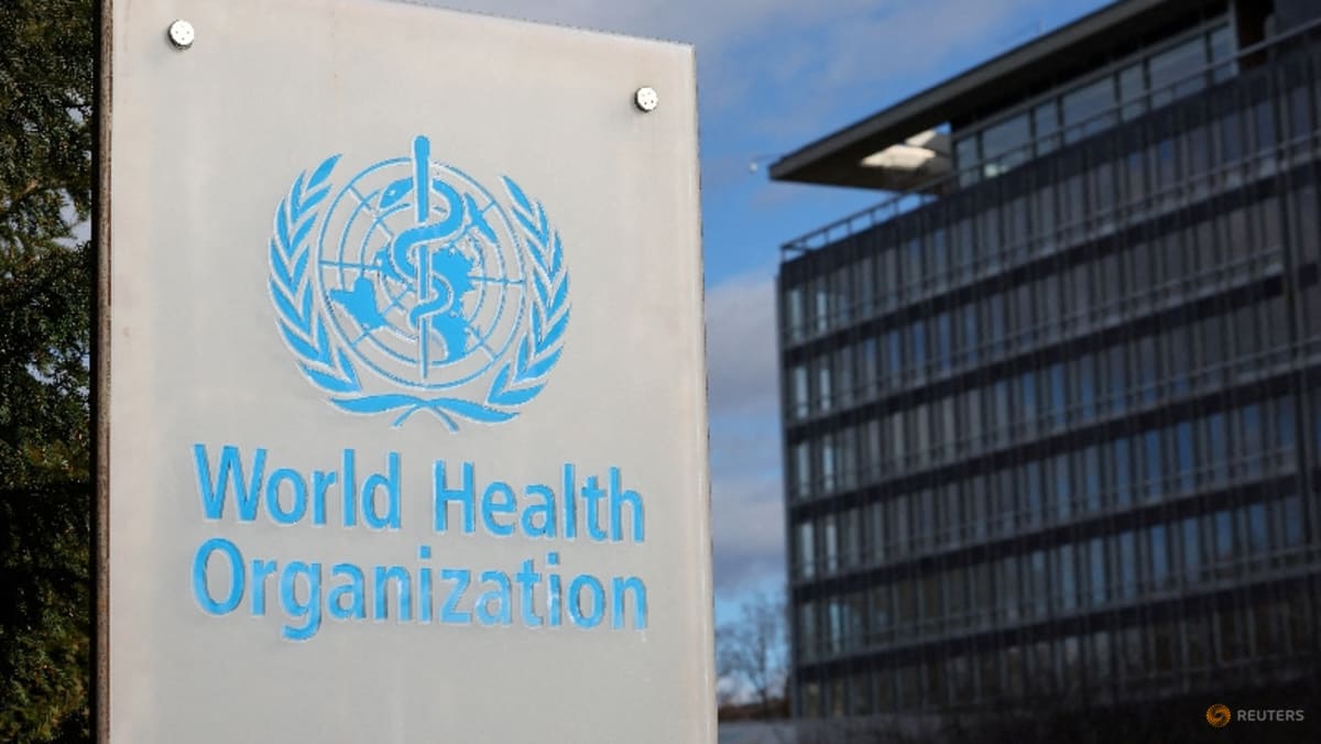 WHO revises hantavirus cases lower after US passenger tests negative