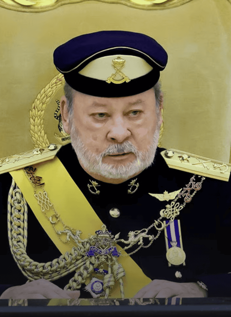 china press alleged mistranslation agong speech