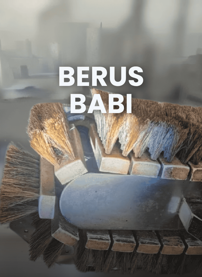 kilang kopi biskut guna berus bulu babi april 2026