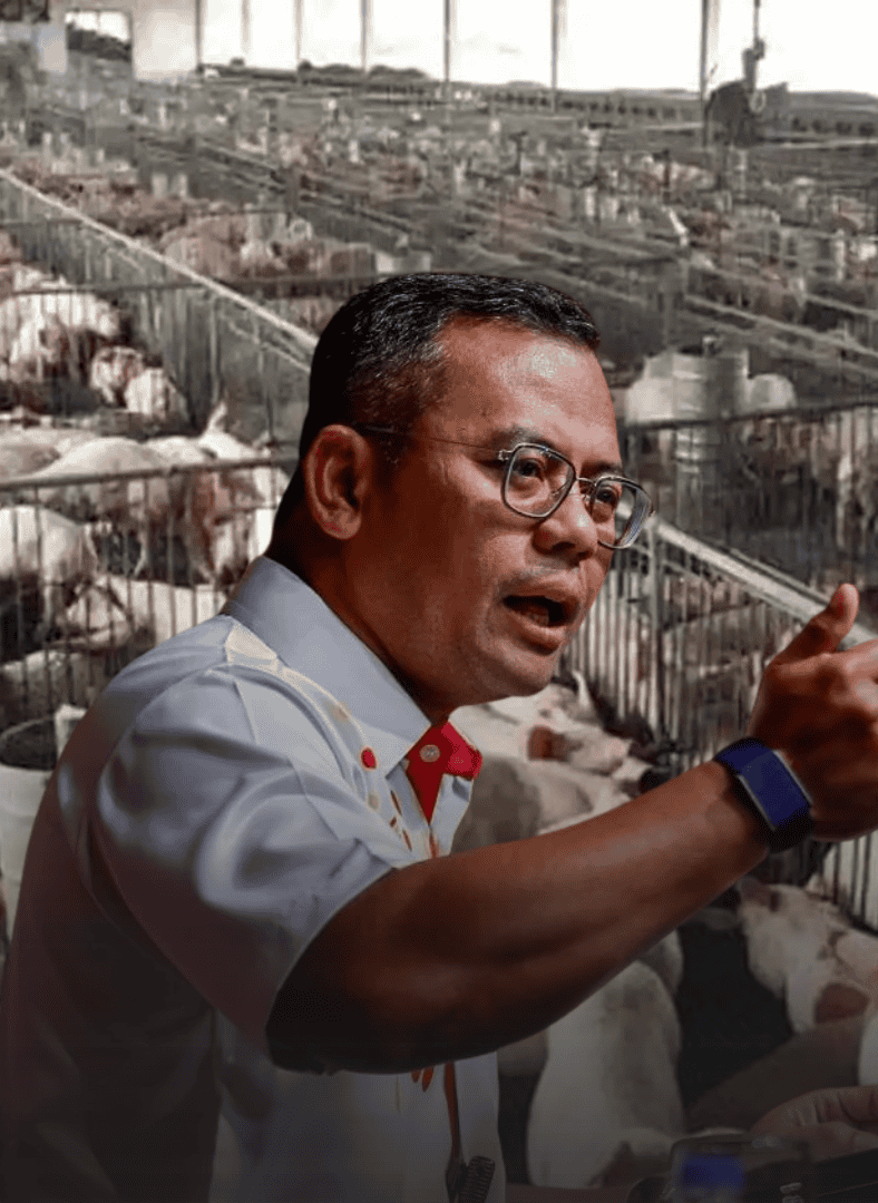bukit tagar pig farm selangor controversy backlash