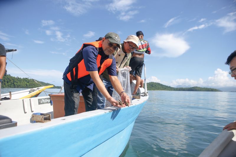 MOSTI laksana rehabilitasi tingkatkan gamat emas di Langkawi