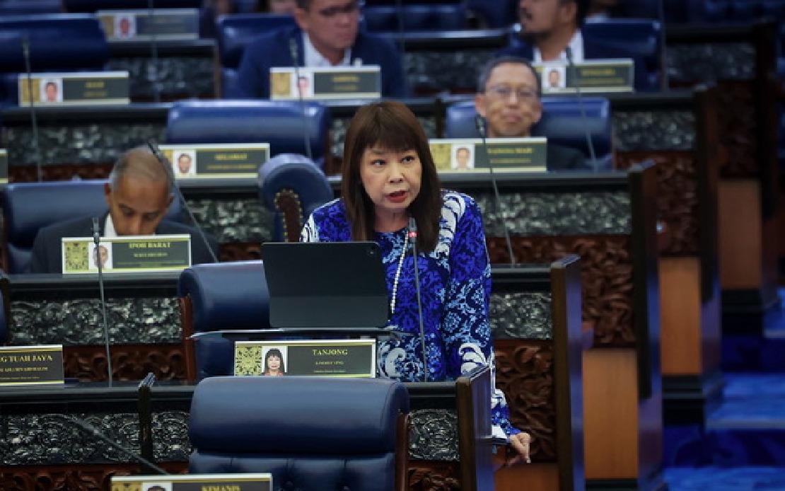 林慧英：“先买后付”交易量激增 · 政府推消费信贷法加强监管