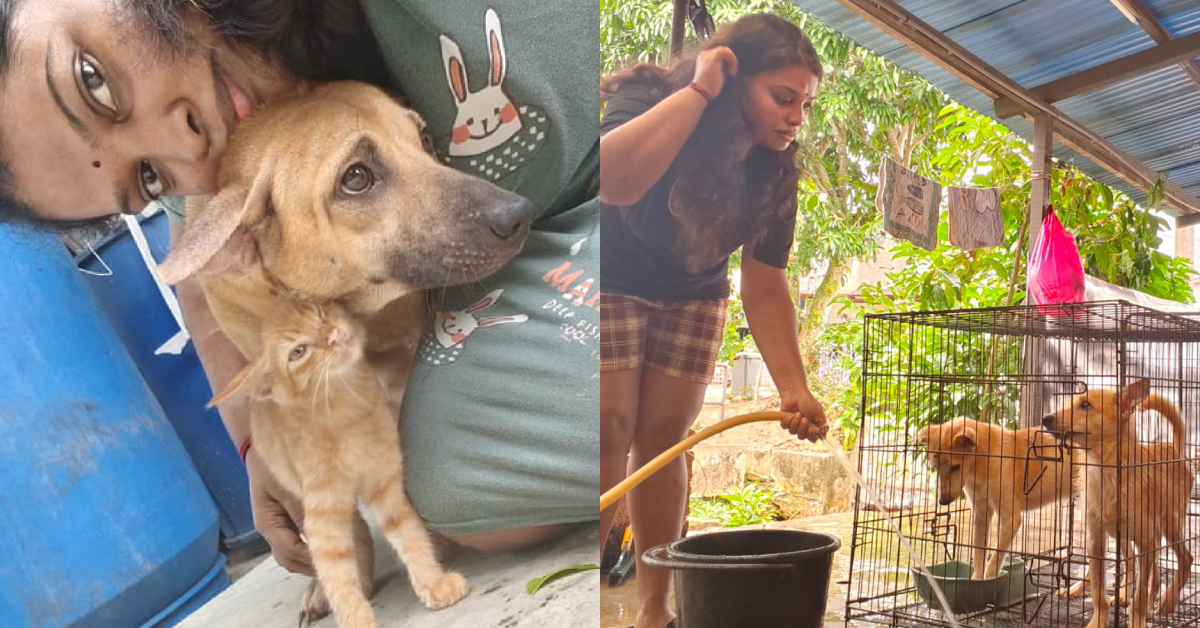 This Malaysian Has Been Tirelessly Rescuing Strays Since She Was In Primary School