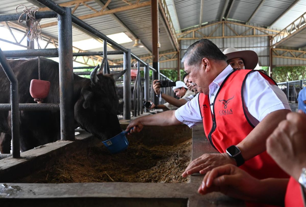 Livestock Farming Land Shrinks Nearly 48% As Land Converted For Development: KPKM