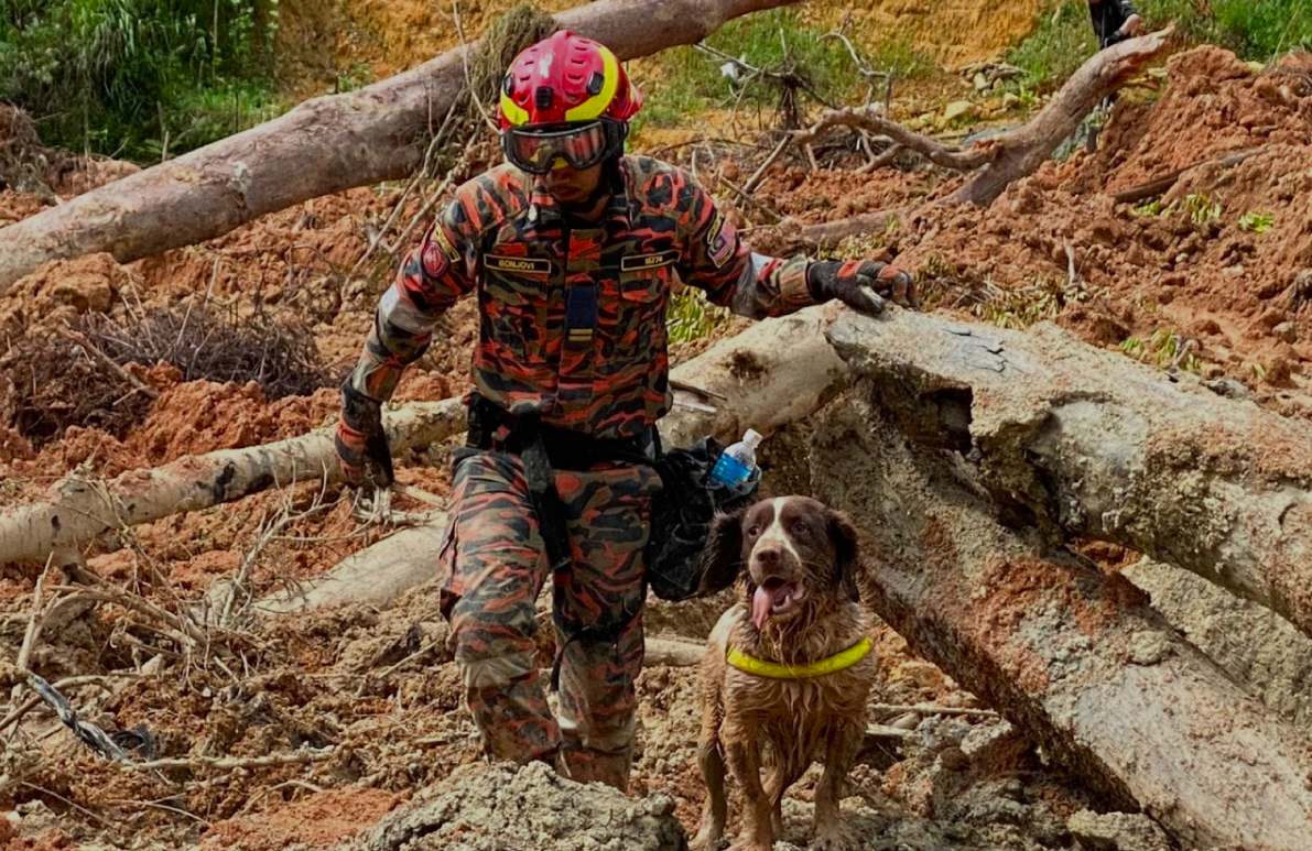 timeline sar batang kali victims