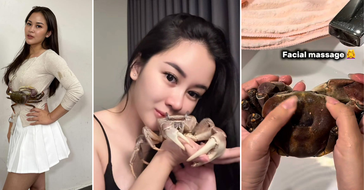 Indonesian Woman Has A Crab As A Pet Called James Who Is Enjoying A Surprisingly Luxurious Life
