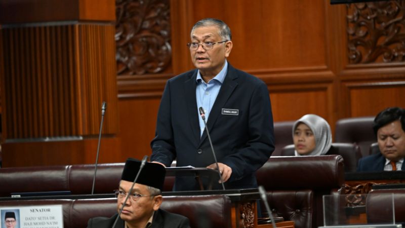 Dewan Negara: 126,828 pemegang pas ekspatriat, warga China tertinggi