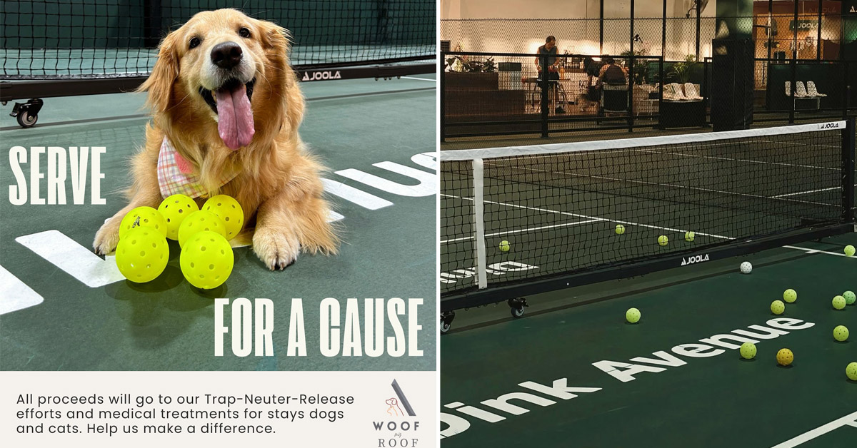This Pet-Friendly Pickleball Event In September Is Raising Funds For Strays In Need