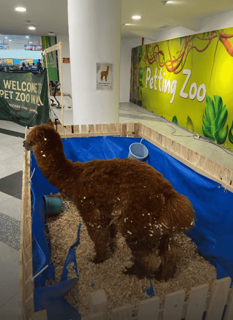 kl mall petting zoo alpaca backlash february 2026