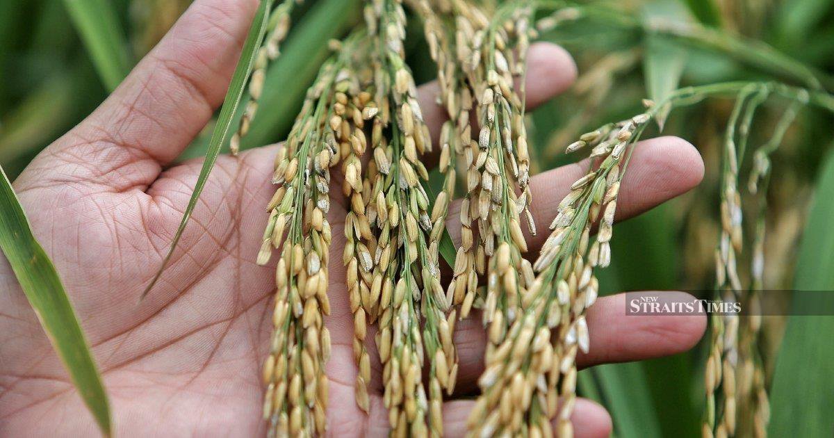 new and trending in corporate and business