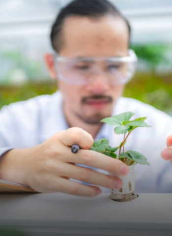 kesuma green skills fair 2024 malaysia