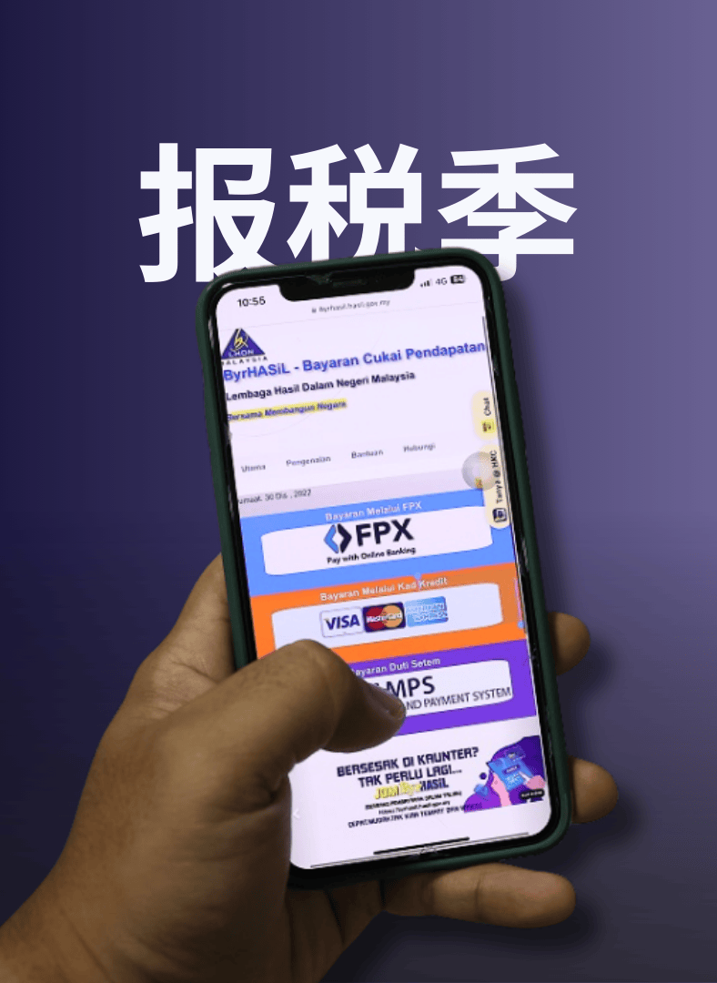 2025年课税年电子报税