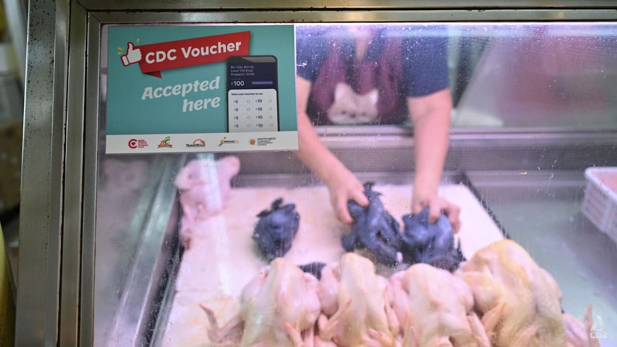 Commentary: Budget 2026 – why CDC vouchers are still given in a time of economic recovery