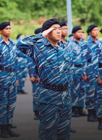 plkn comeback