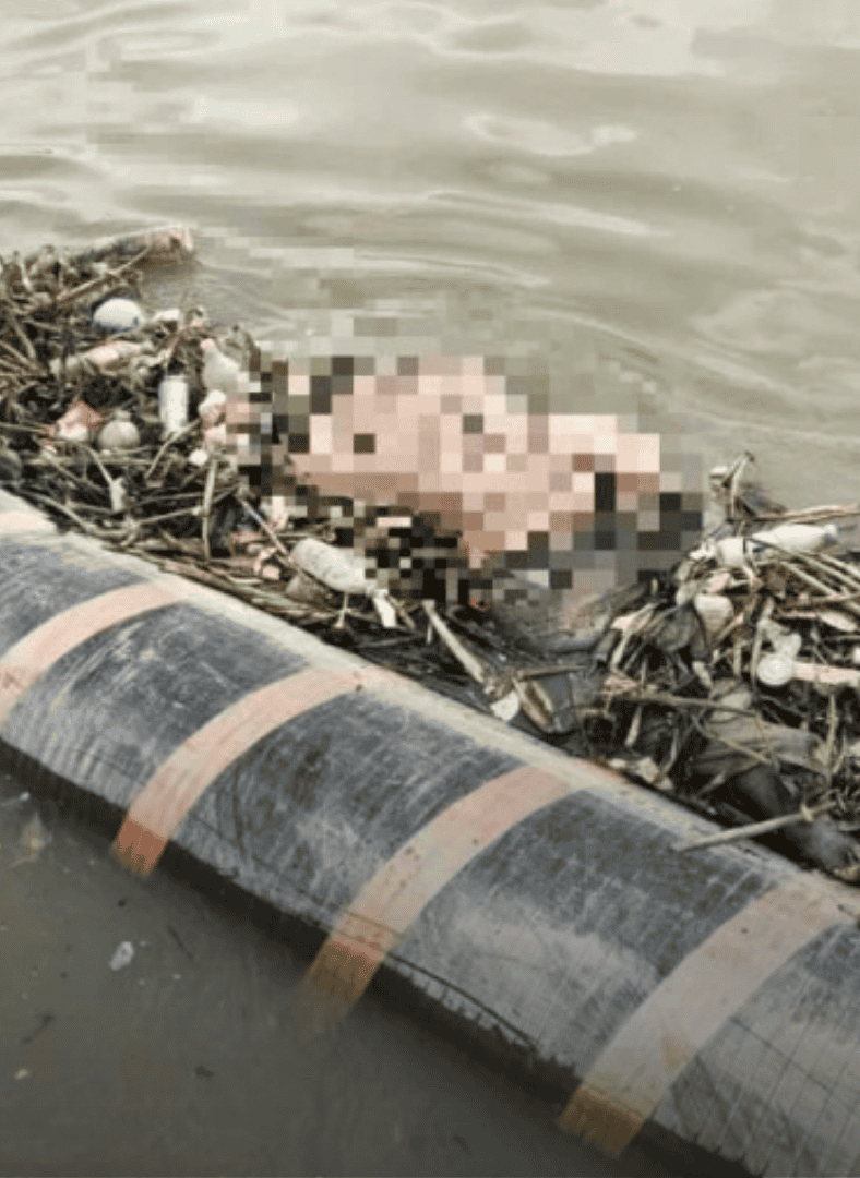 man swept away found dead klang river