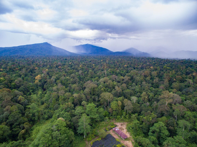 Sabah expands totally protected areas to 2,227 million hectares - Hajiji