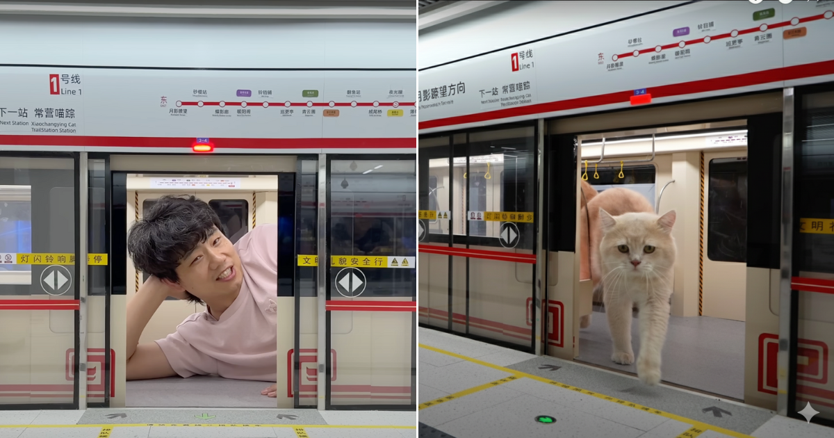 Man Spends 4 Months Building A Fully-Functioning Subway Station For His Cats