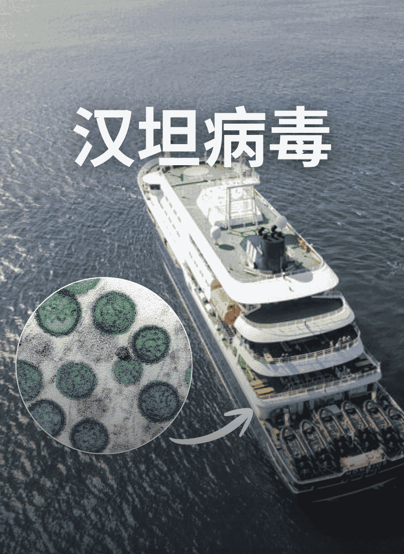 2026邮轮爆汉坦病毒疫情